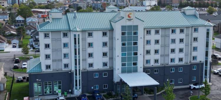 舒适酒店(Comfort Hotel)图片