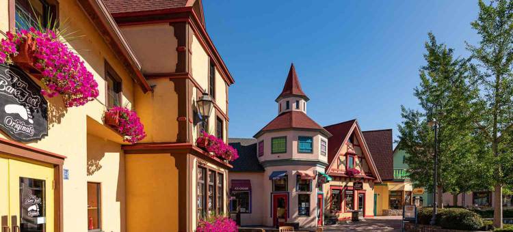 Holiday Inn Express 桦木运行(弗兰肯默斯区)(Holiday Inn Express Birch Run (Frankenmuth Area))图片