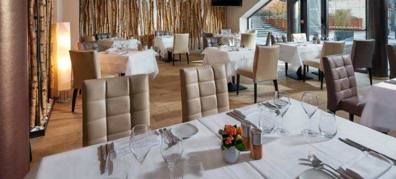 巴塞尔米卢斯机场阿德吉奥公寓酒店(Aparthotel Adagio Bâle Mulhouse Aéroport)图片