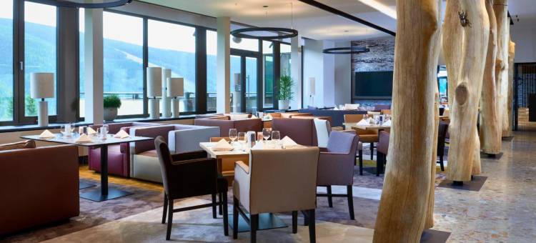 什平德莱鲁夫姆林霍拉尔奥雷阿度假酒店(Orea Resort Horal Špindlerův Mlýn)图片
