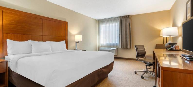 机场会议中心舒适套房酒店(Comfort Inn & Suites Airport Convention Center)图片