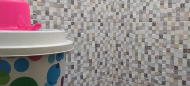 威利斯巴鲁酒店(Hotel Wilis Baru)图片