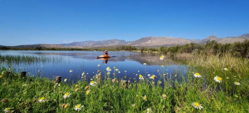 惠普斯托克农场旅馆(Whipstock Guest Farm)图片