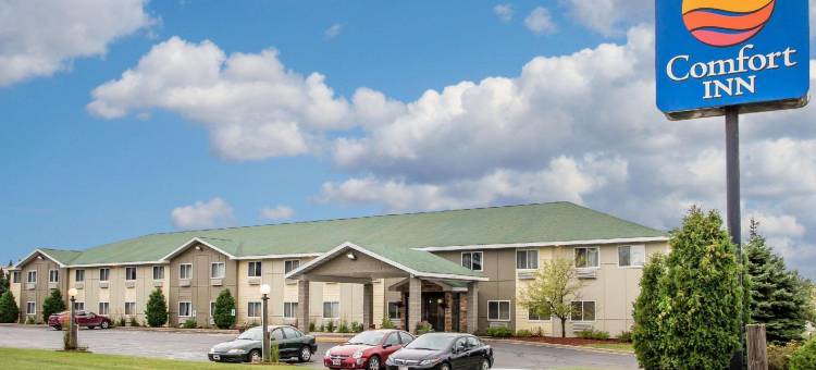 舒适酒店(Comfort Inn)图片