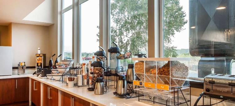 红木国家舒适套房酒店(Comfort Inn & Suites Redwood Country)图片