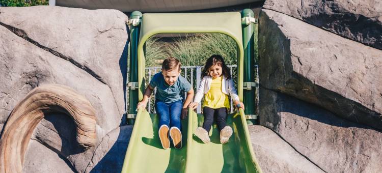 贝尔维尤凯悦酒店(Hyatt Regency Bellevue)图片