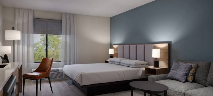 Hyatt开间杰克逊维尔/圣约翰斯镇中心(Hyatt Studios Jacksonville/st Johns Town Center)图片