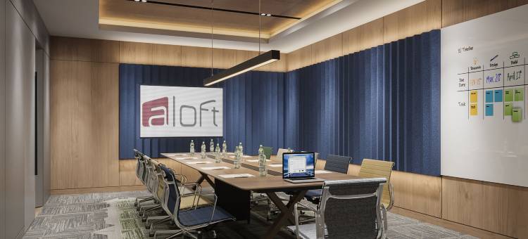 雅乐轩伊斯坦布尔卡拉柯伊(Aloft Istanbul Karakoy)图片