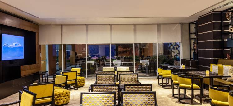 托卢卡特罗肯万怡酒店(Courtyard Toluca Tollocan)图片