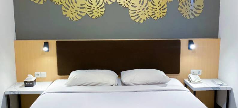 普鲁伊特特玛蒂克酒店(Tematik Hotel Pluit)图片