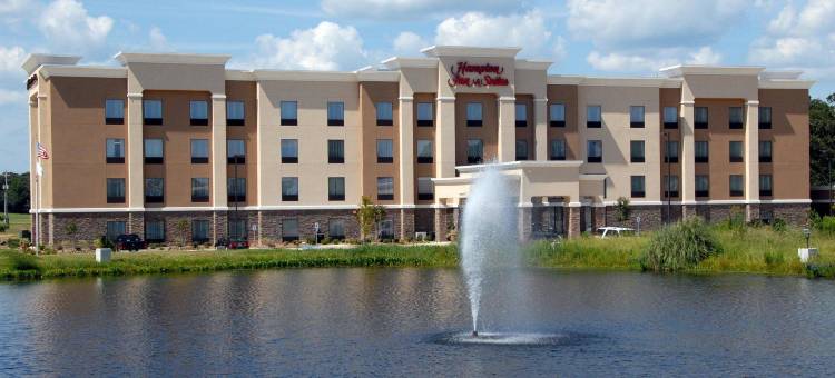 希尔顿欢朋套房酒店-芒特普莱森特(Hampton Inn & Suites Mount Pleasant)图片