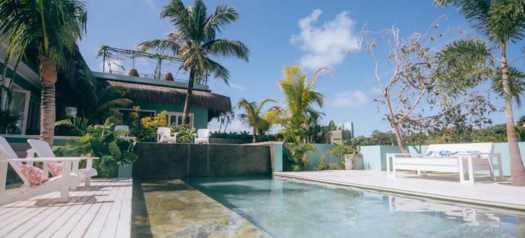 皮帕仙人掌旅舍(Cactus Lodge Pipa)图片