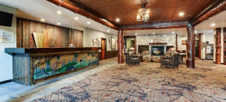 斯托尼溪会议中心及酒店-拉克罗斯(Stoney Creek Hotel la Crosse - Onalaska)图片