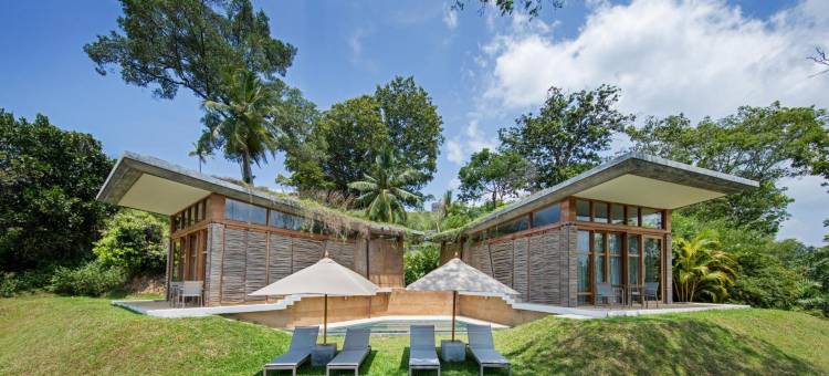 阿玛雅Tri(Tri by Amaya)图片