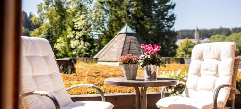 美丽森林的牛酒店(Hotel Zum Ochsen)图片