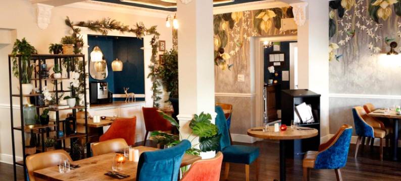 普拉斯海弗莱德酒店(Hotel Plas Hyfryd)图片