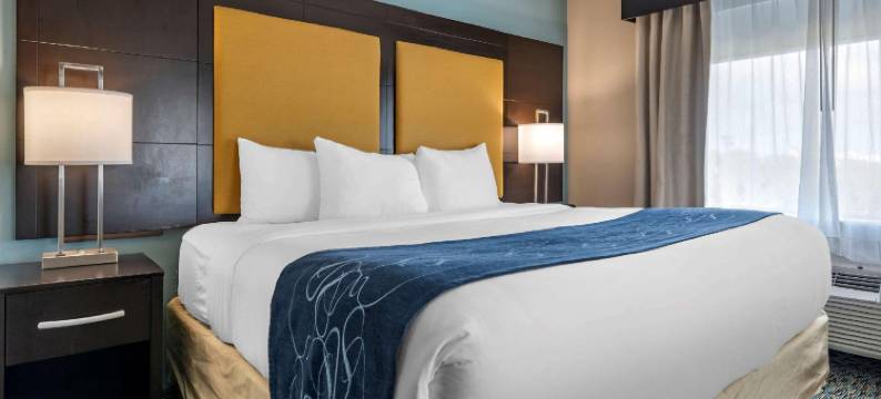 舒适套房酒店-罗德岱堡机场南游艇港(Comfort Suites Fort Lauderdale Airport South & Cruise Port)图片