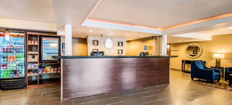 福尔斯彻奇舒适酒店-泰森斯角(Comfort Inn Falls Church - Tysons Corner)图片