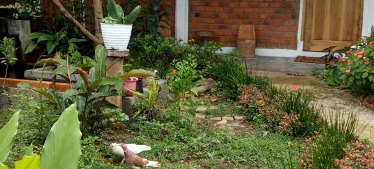 Azalea Garden Homestay图片