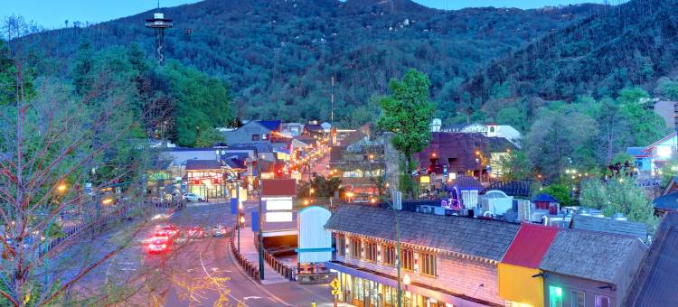 加德林堡市中心英迪格酒店(洲际酒店集团)(Hotel Indigo Gatlinburg Downtown by IHG)图片