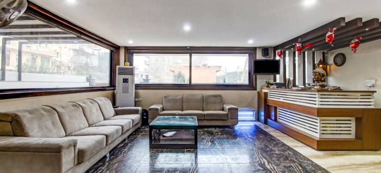 Treebo M2M住宅区46(Treebo M2M Residency Sector 46)图片