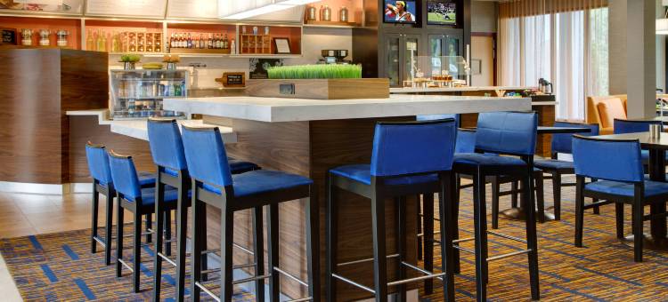 亚特兰大温蒂山/球场万怡酒店(Courtyard by Marriott Atlanta Windy Hill/Ballpark)图片