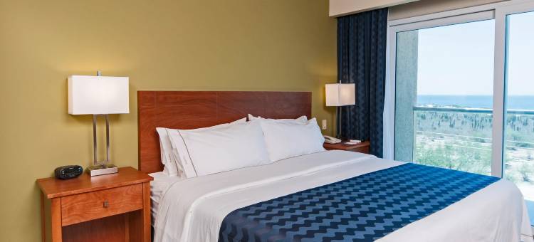 Holiday Inn Express 洛斯卡波斯(Holiday Inn Express CABO SAN LUCAS by IHG)图片