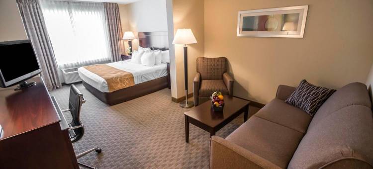 南本德圣母院大学区舒适套房酒店(Comfort Suites University Area Notre Dame-South Bend)图片