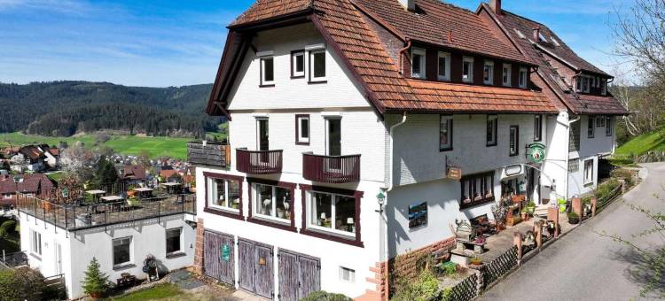 塔尔景膳宿公寓(Gasthaus Talblick - Schwarzwald Plus Karte Inkludiert)图片