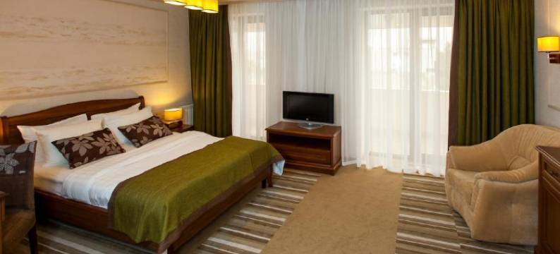 南梧桐酒店(Platan Yuzhniy Hotel)图片