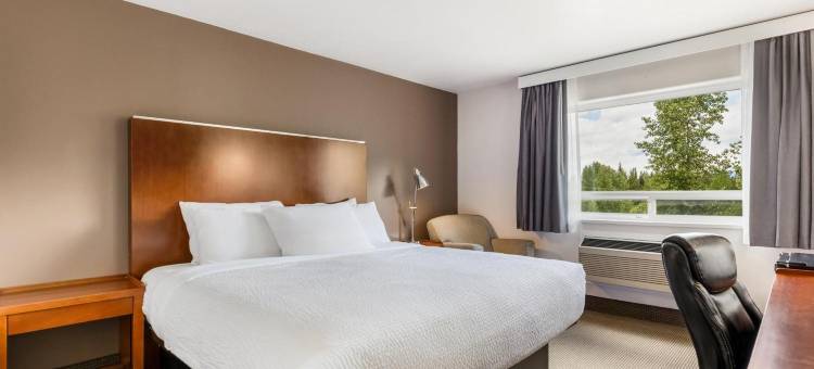 维尔蒙加拿大最佳价值酒店(Days Inn by Wyndham Valemount)图片