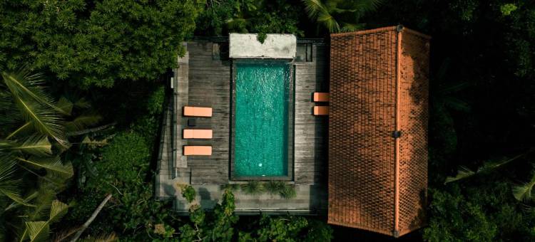 乌布乌玛特穆库(Umah Temuku Ubud)图片