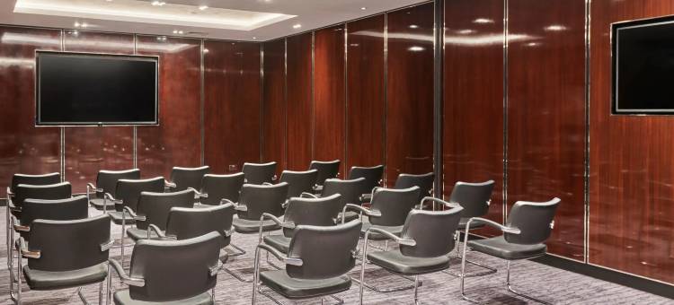 伦敦亚伯特堤岸凯悦酒店(Hyatt Regency London Albert Embankment)图片