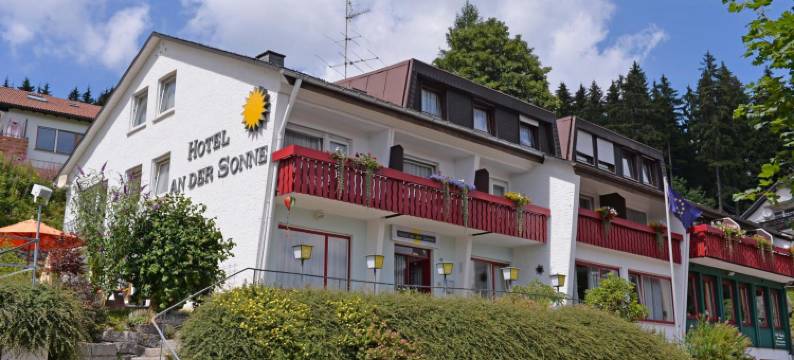 索奈酒店(Hotel an der Sonne & Restaurant Zum Schneiger)图片