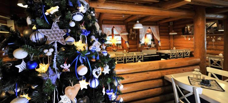 亚普兰卡姆兹科公寓酒店(Aplend Koliba Kamzík)图片