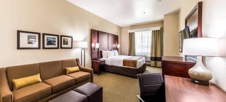 大草原城阿灵顿北部舒适套房酒店(Comfort Suites Grand Prairie - Arlington North)图片