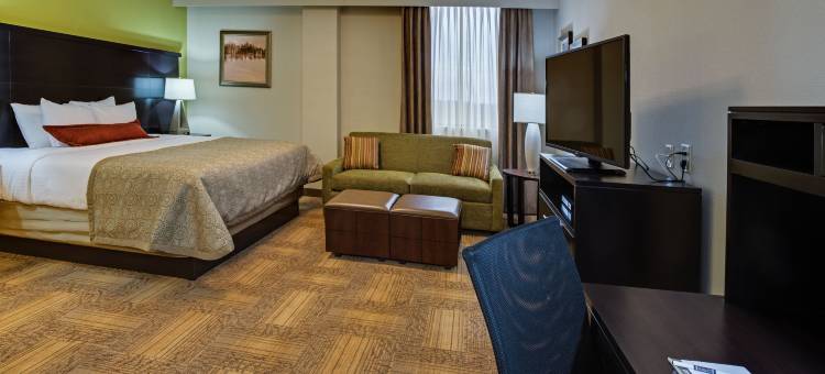 亚特兰大机场洲际旗下Staybridge Suites酒店(Staybridge Suites ATLANTA AIRPORT by IHG)图片