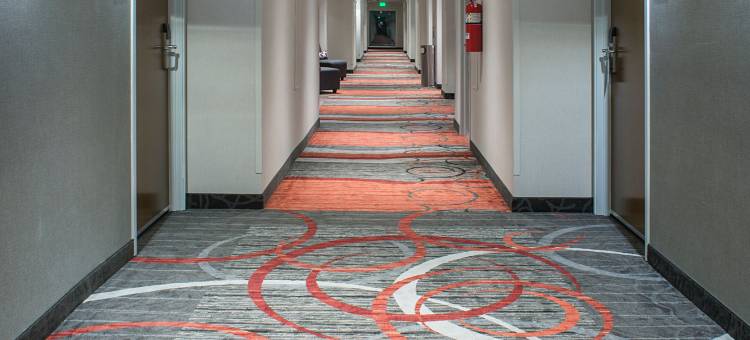 奇瓦瓦尤文智选假日酒店(Holiday Inn Express & Suites Chihuahua Juventud)图片