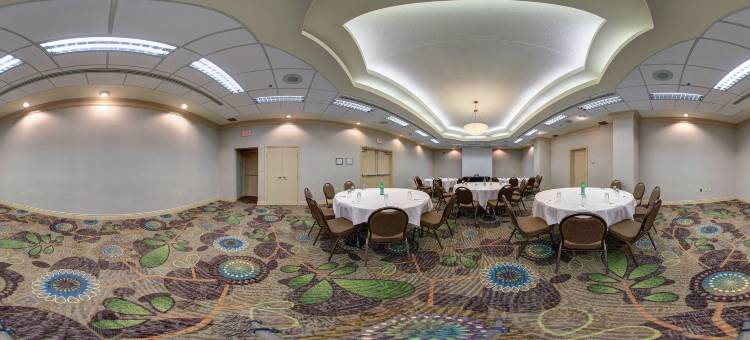 Holiday Inn & Suites 温莎(大使桥) by IHG(Holiday Inn & Suites Windsor (Ambassador Bridge) by IHG)图片