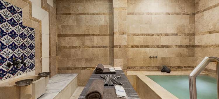 温德姆阿菲翁卡拉希萨温泉SPA酒店(Wyndham Afyonkarahisar Thermal&Spa)图片