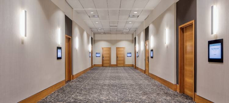 达拉斯商业街威斯汀酒店(The Westin Galleria Dallas)图片