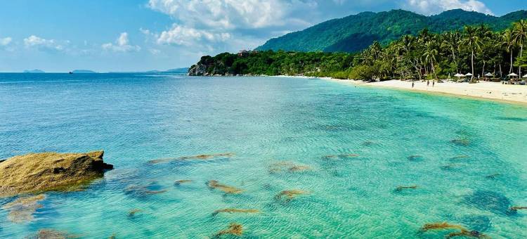 帕岸岛梦想别墅(Dreamville Koh Phangan)图片