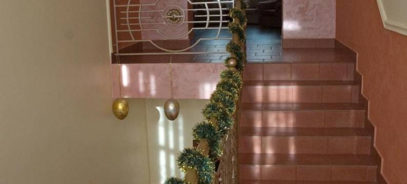 派桑卡酒店(Pysanka Hotel)图片