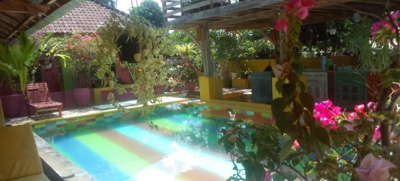 阿洛拉旅馆(Alola Inn)图片