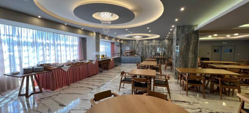 瓦尼斯科酒店(Vanisko Hotel)图片