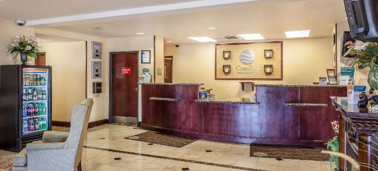 里诺机场舒适套房酒店(Comfort Inn & Suites Airport Convention Center)图片