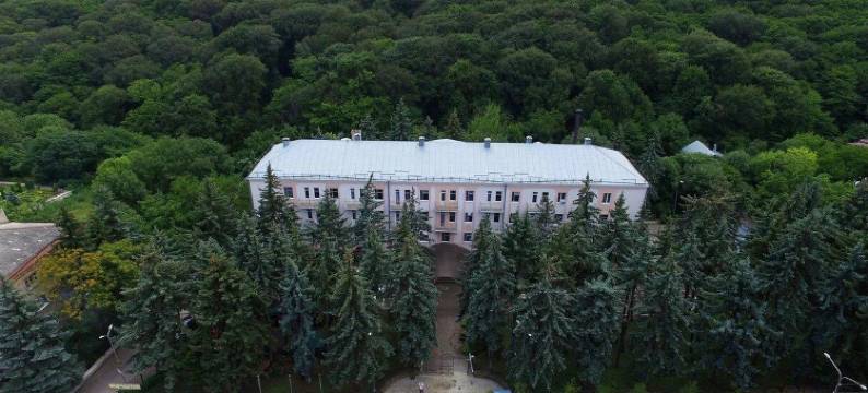 泽姆除兹纳加夫加萨酒店(Zhemchuzhina Kavkaza)图片