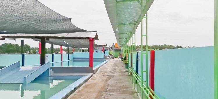 Sukoharjo红多兹民宿@Sekar Tanjung(RedDoorz @ Sekar Tanjung Homestay Sukoharjo)图片