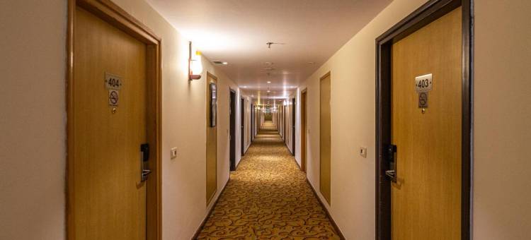 温德姆华美达尼姆拉纳酒店(Ramada by Wyndham Neemrana)图片