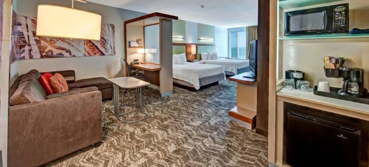 俄克拉荷马市穆尔万豪SpringHill Suites 酒店(SpringHill Suites Oklahoma City Moore)图片